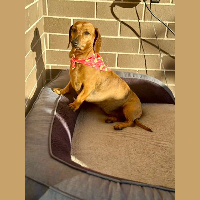 Photo of Benji And Saide