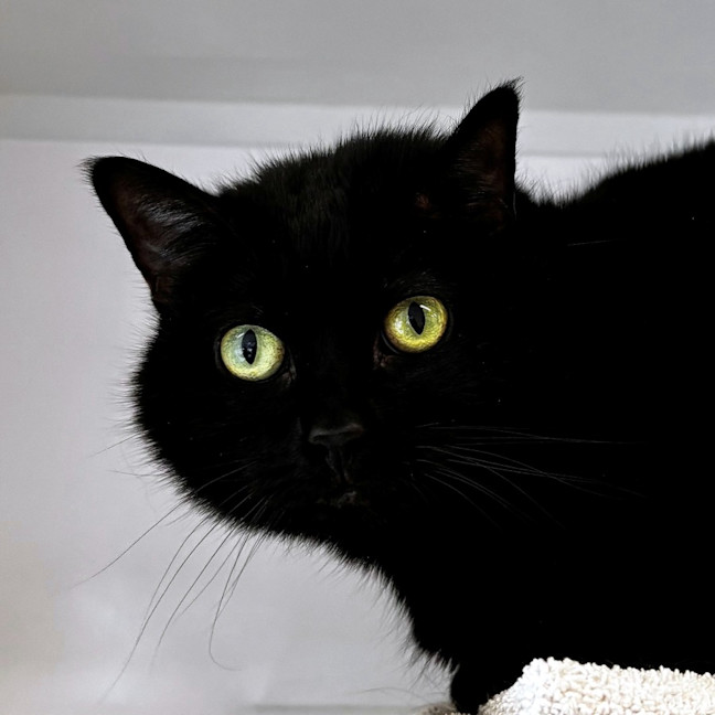 Photo of Ellie Sua015485