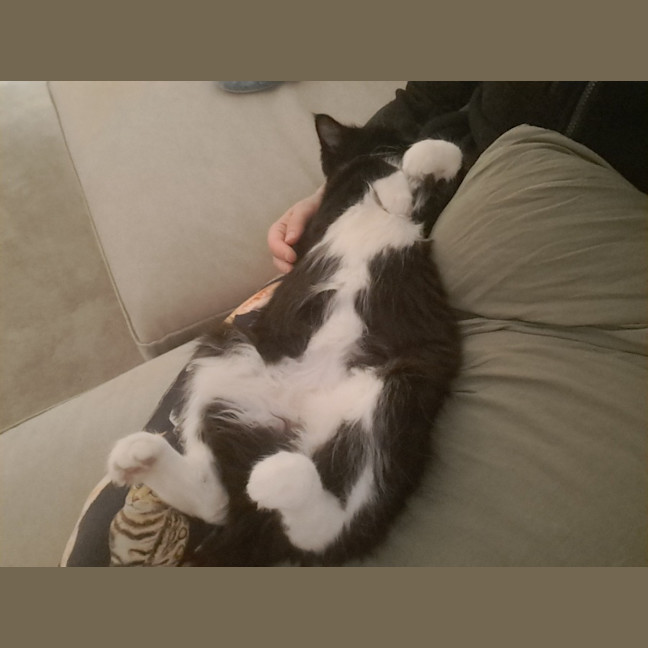 Photo of Donna Summer