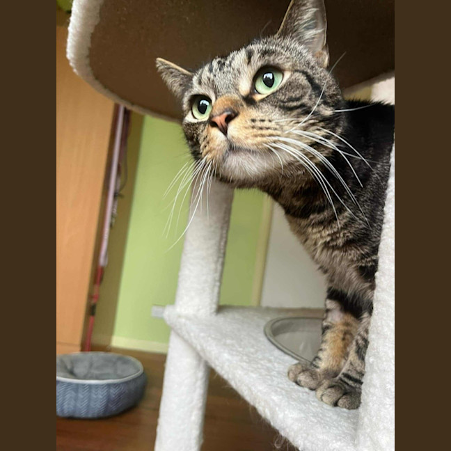 Photo of Jeff   In Foster Care In Doncaster East