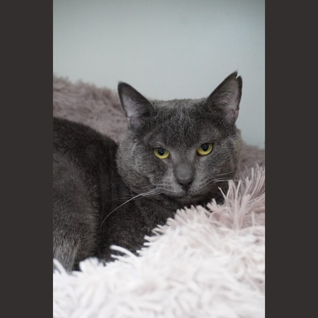 Photo of Sweetie Boy