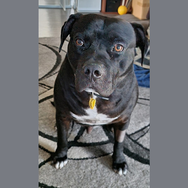 Photo of Tank
