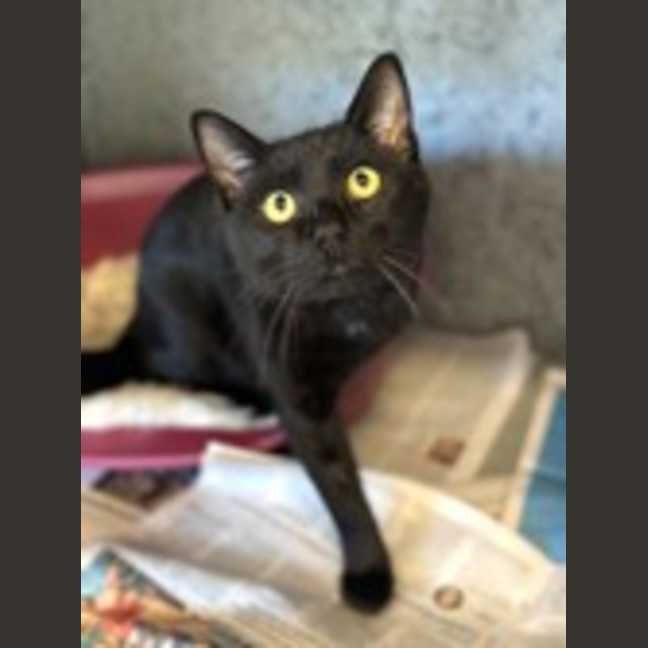 Photo of Bartholomew