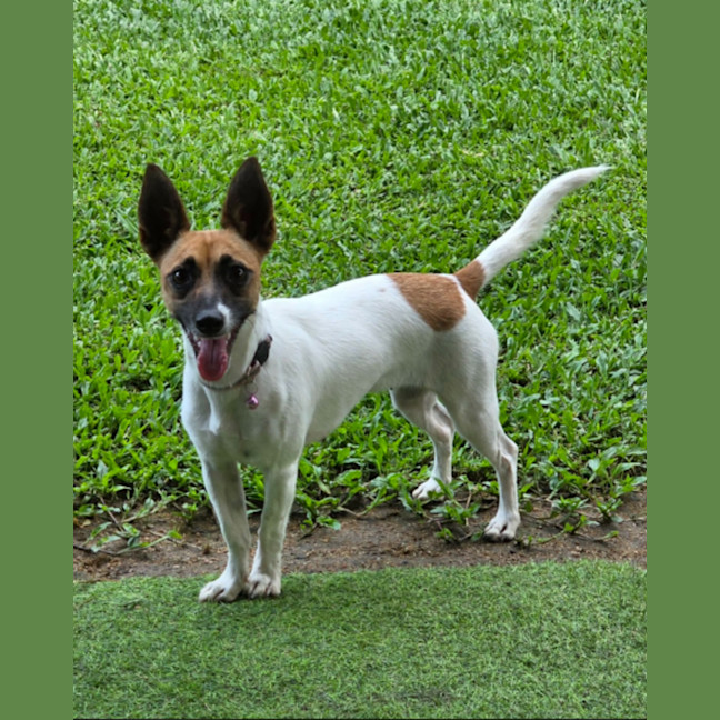 Photo of Tully And Rose