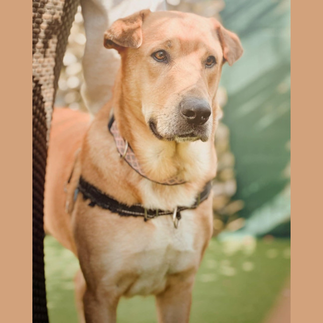 Photo of Ted