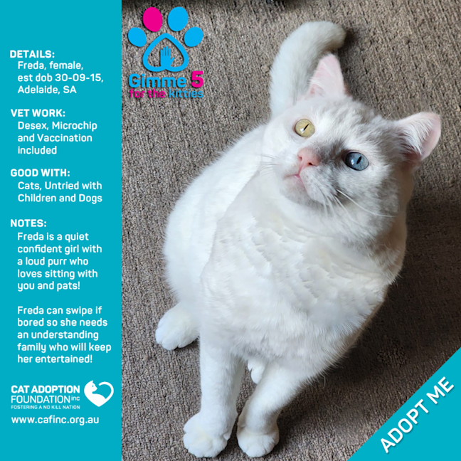 Photo of Freda Only $39 Limited Time!