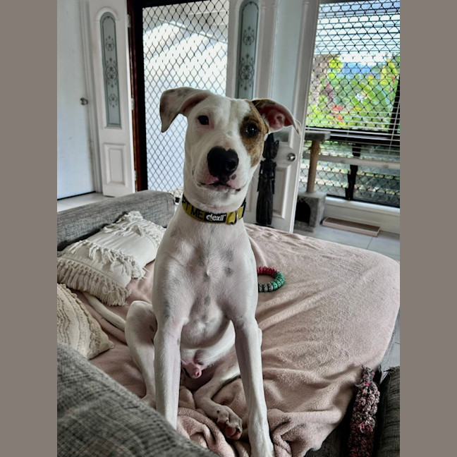 Photo of Paddy