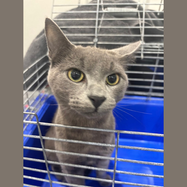 Photo of Storm