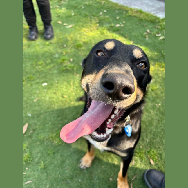 Photo of Bruce