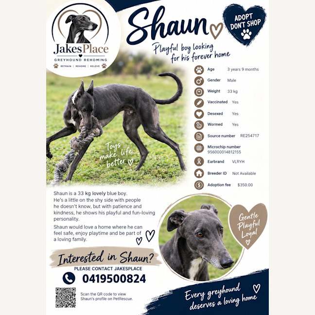 Photo of Shaun