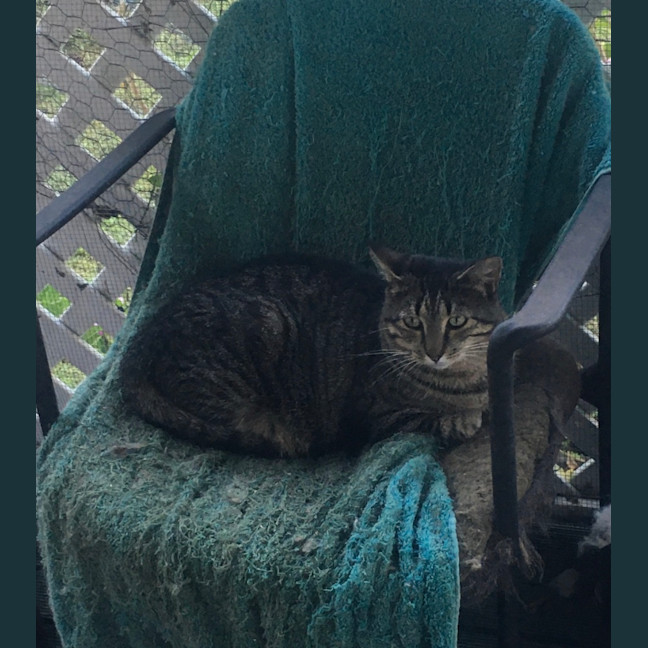 Photo of Sandy