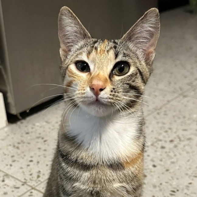 Photo of Milly And Charlie 