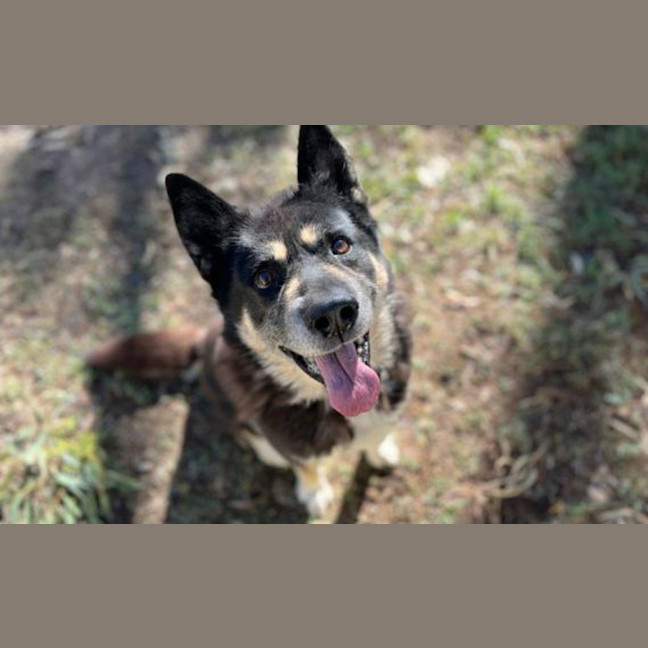 Photo of Maximus