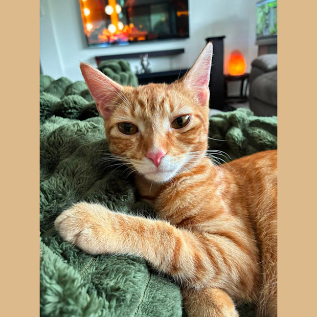Photo of Ron