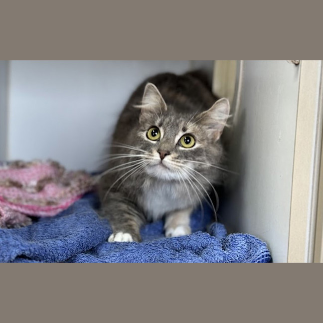Photo of Shelly
