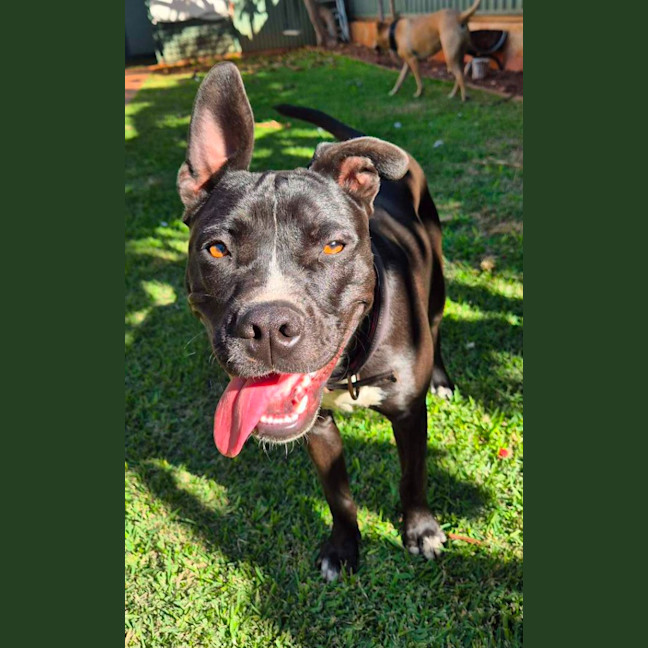 Photo of Spencer