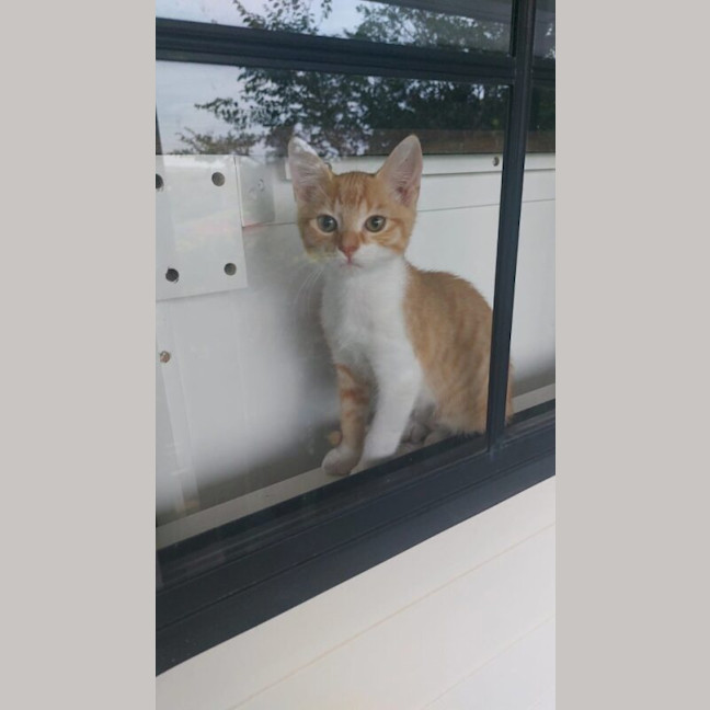 Photo of Dudley