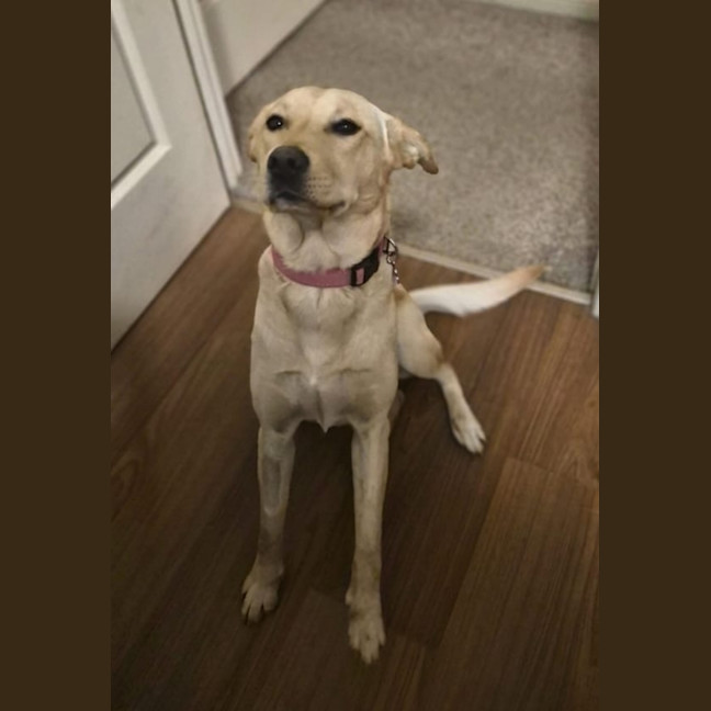 Photo of Marley 