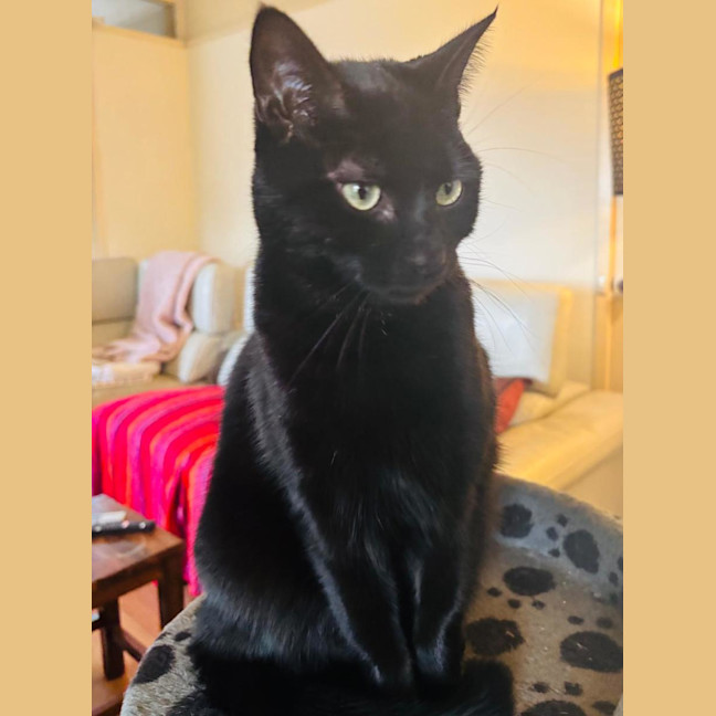 Photo of 💚 Mali 💚