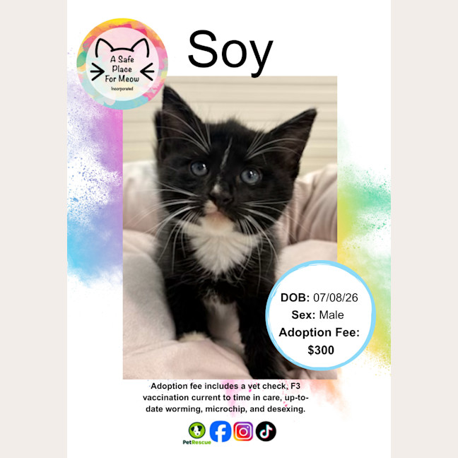 Photo of Soy