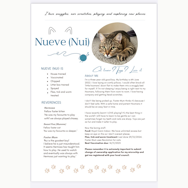 Photo of Nueve (Nui)