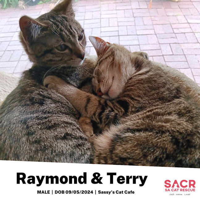 Photo of Terry & Raymond