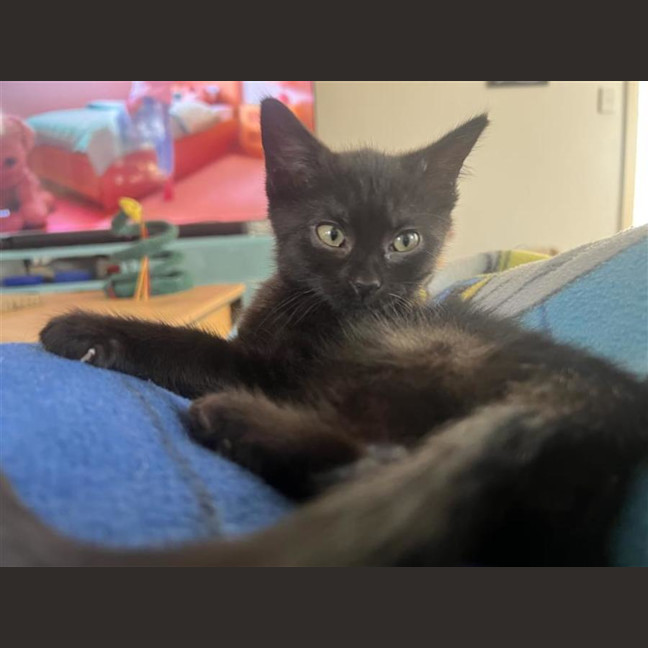 Photo of Puddle (With Smudge)