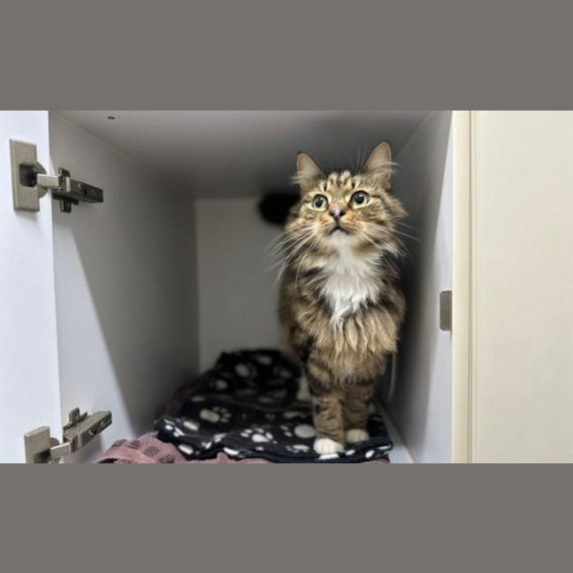 Photo of Puddy