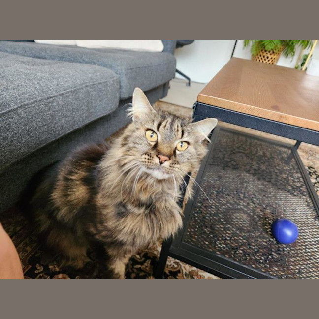 Photo of Molly Lozano