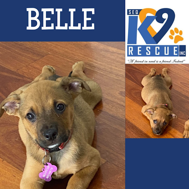 Photo of Belle