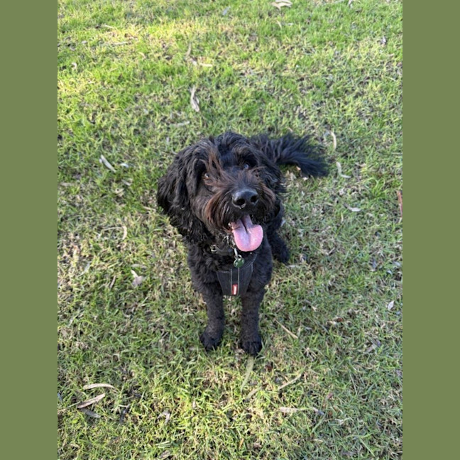 Photo of Bodhi Quinnell