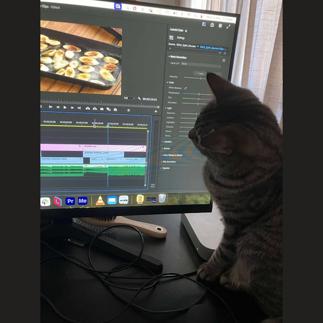 Photo of Mr Maple