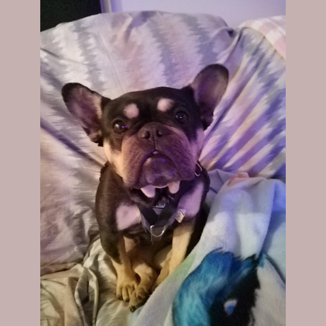 Photo of Jolie
