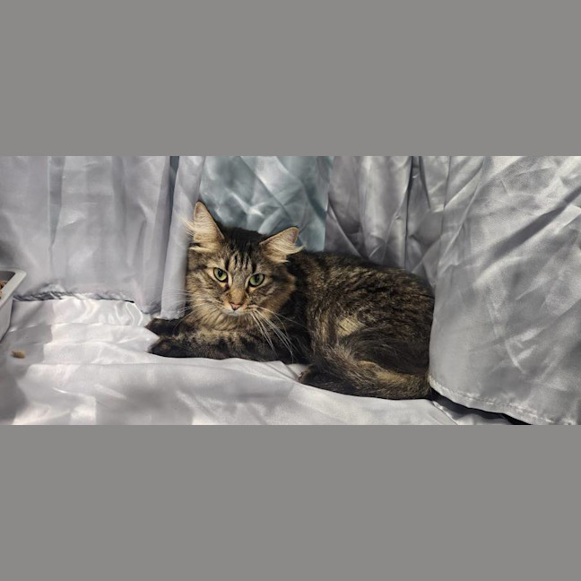 Photo of Ghost