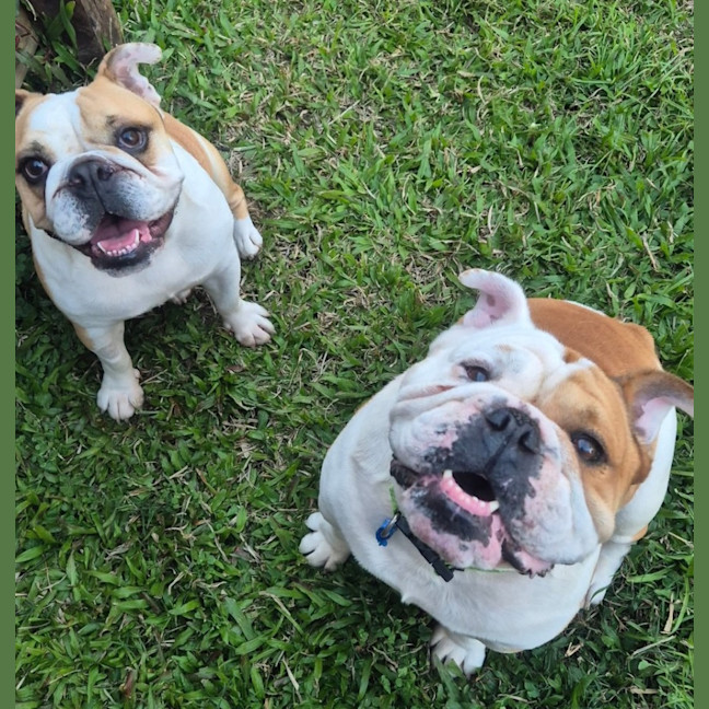 Photo of Sally & Jasper