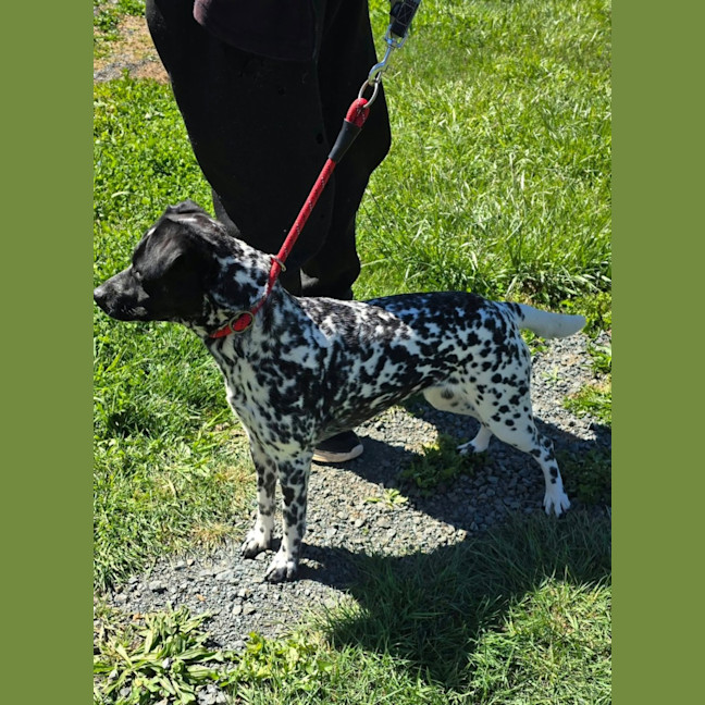 Photo of Zena