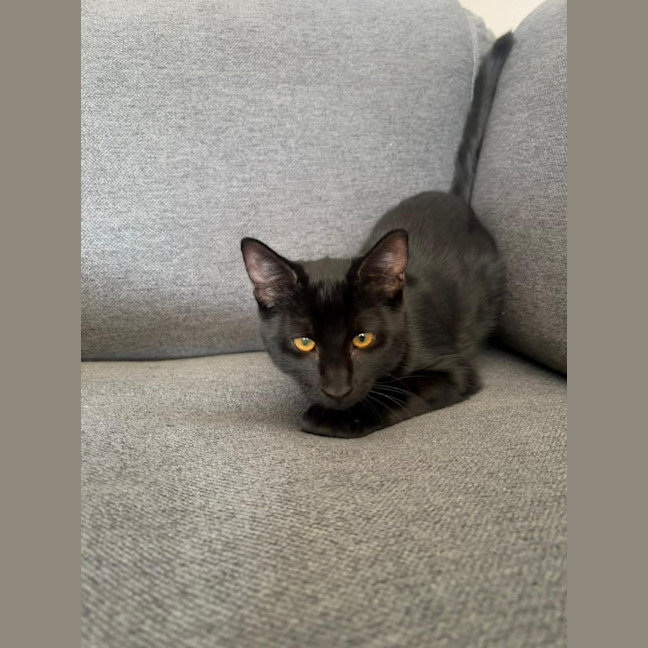Photo of Cash