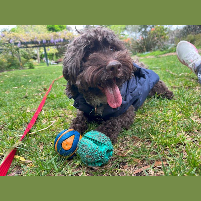 Photo of Bertie Kumara