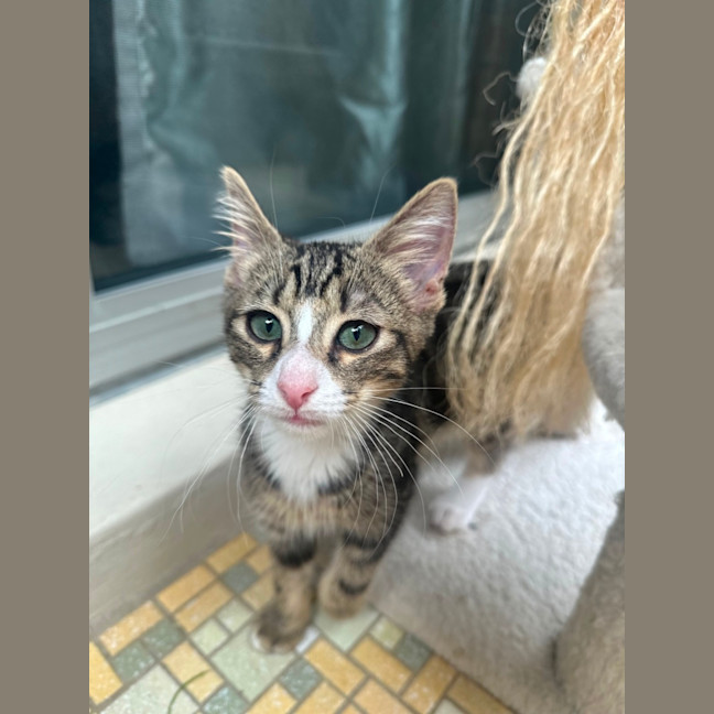 Photo of Spud