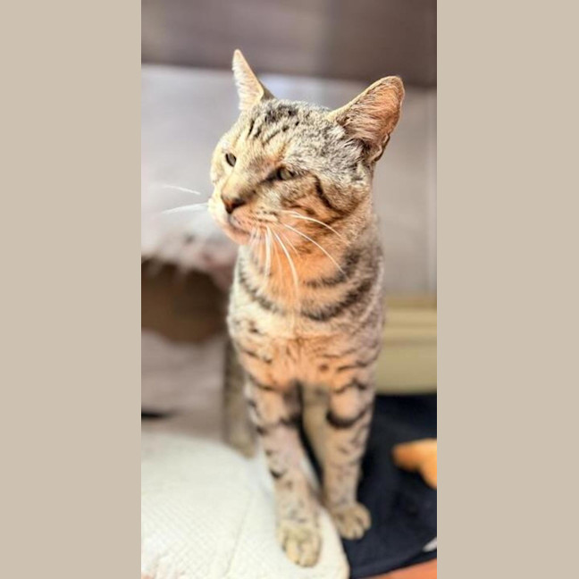 Photo of Bruce Wayne