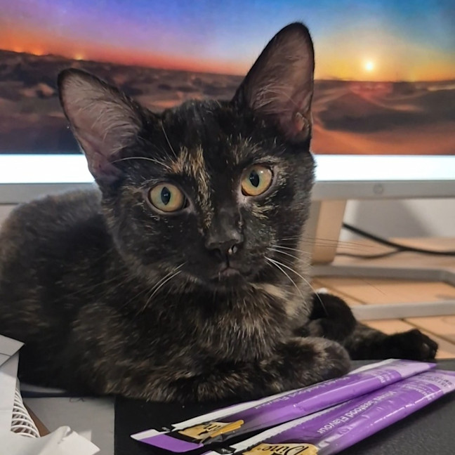 Photo of Ravern