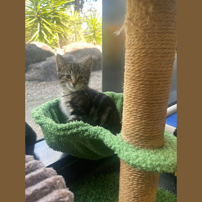 Photo of Mr. Squiggle