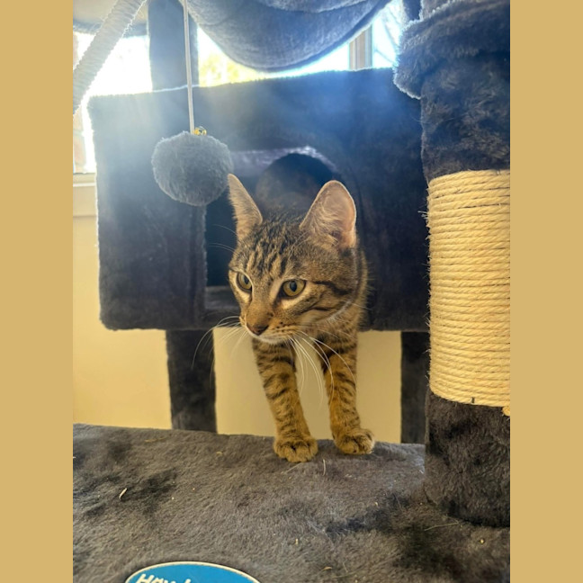 Photo of Monty & Betty