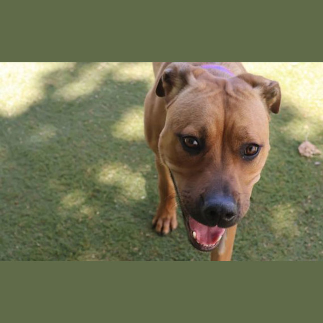 Photo of Winnie
