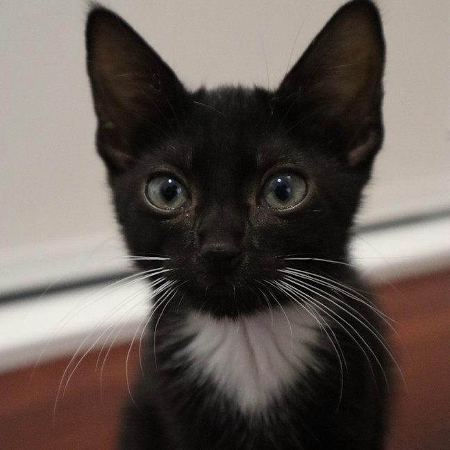 Photo of Gilly