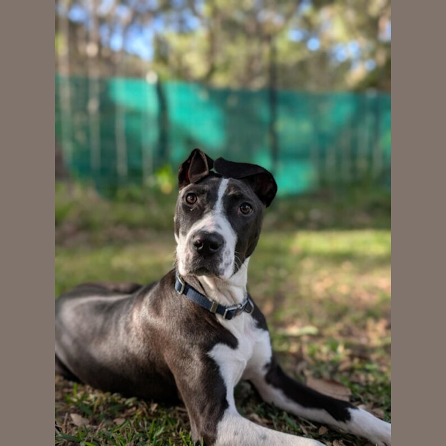 Photo of Beau Nee Sid