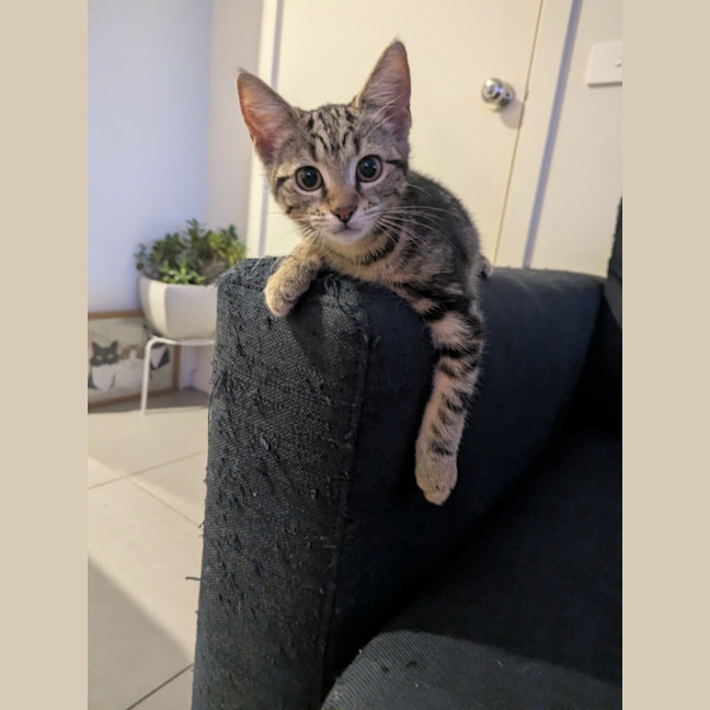 Photo of Lucia Scotty