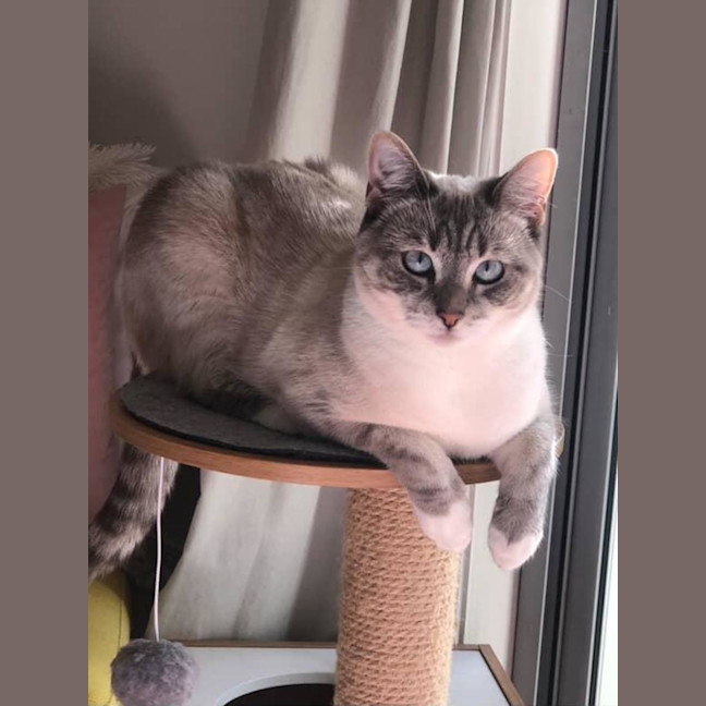Photo of Luna