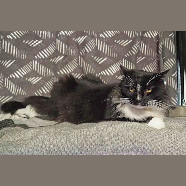Photo of Coco