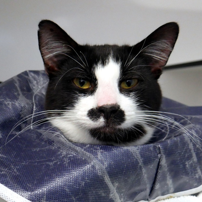 Photo of Suki Sta012985